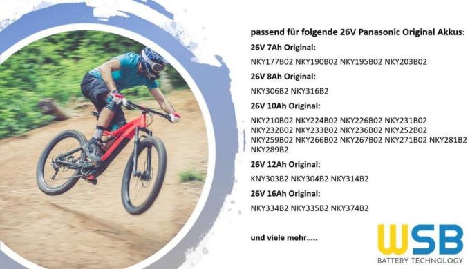 Sistema Panasonic Ebike 25.2V 23.2ah 585W Bateria de substituição Raleigh E-Bike Bateria Fiets Accufahrrad Akkuakku Fur Elektrofahrrad Power Pack Bateria de lítio 5