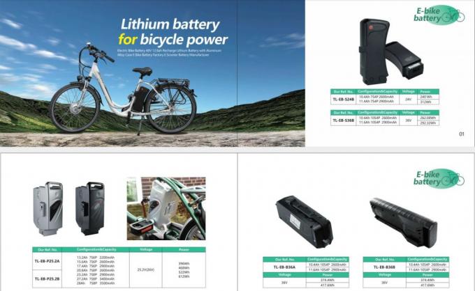 Bateria de veículo elétrico de substituição Hailong 48V 1000W com carregador Bateria de lítio de substituição de bicicleta elétrica 8
